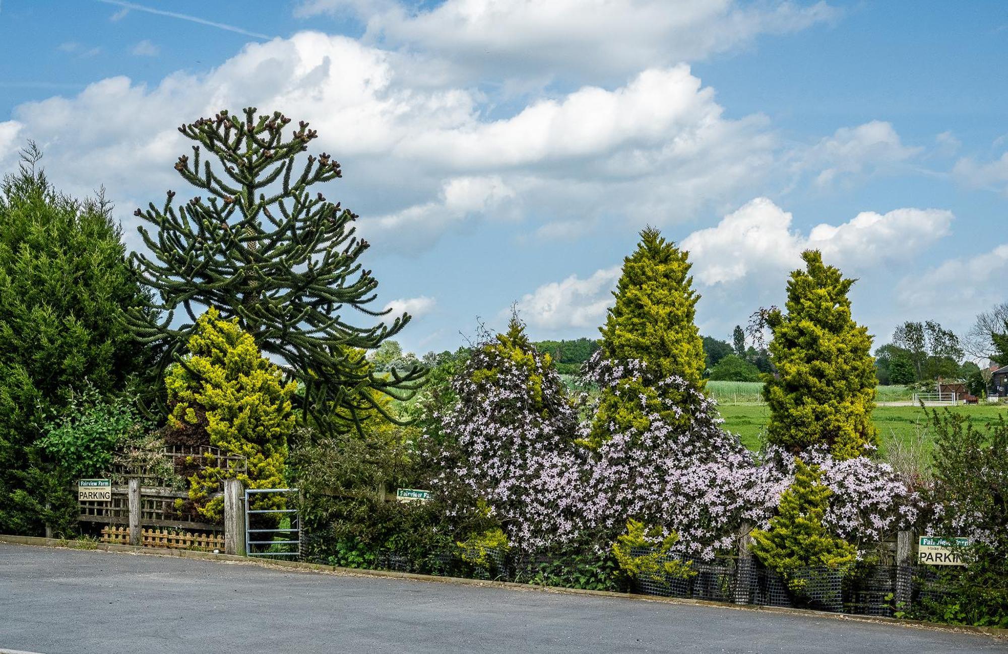 Upside Down House - Sleeps Up To 6 Guests - Great For Family And Friends Gatherings,Corporate Events ,Near Sherwood Forest At Fairview Farm In Nottingham Set In 88 Acres מראה חיצוני תמונה